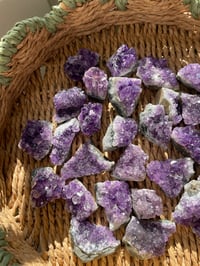 Image 3 of Amethyst Clusters (Medium)