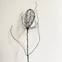 Image 2 of Teasel wire sculpture 