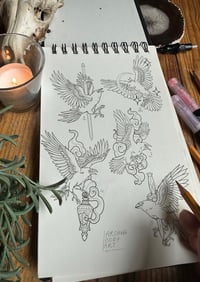 Image 1 of Corvus Corax