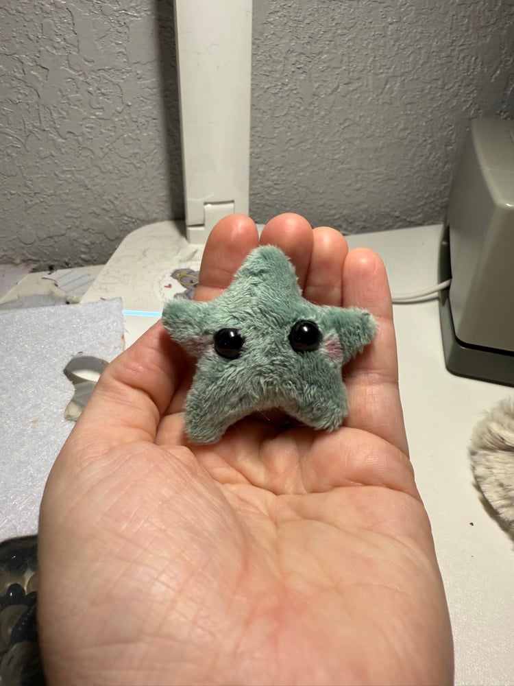 Image of Tiny star seafoam 1
