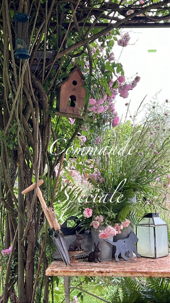 Image of COMMANDE SPÉCIALE M.M.D