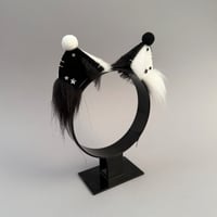 Image 3 of Monochrome Clown Kitten