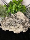 Muscovite Mica on Albite