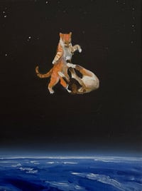 Cats fighting in orbit
