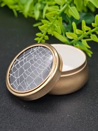 Image 1 of Mini Vintage decorative Jar with  Real Preserved Web