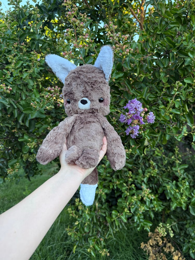 Image of Brown fox