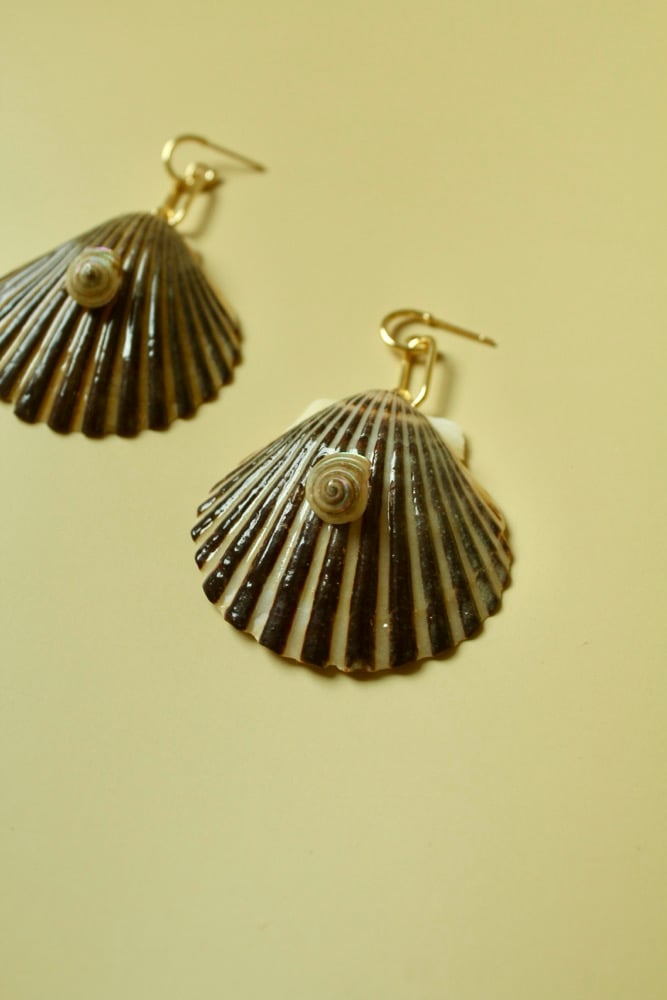 Image of Scalloped shell earrings