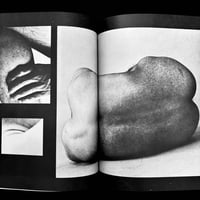 Image 2 of Erotica #29