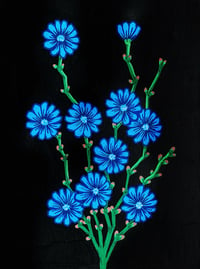 Image 2 of Chicory