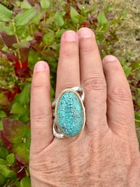 Image 1 of Spiderweb Turquoise 22 karat Gold and Sterling Silver Ring 