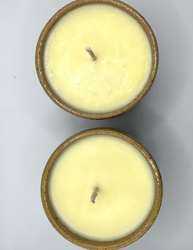 Birch Tree Tumbler Candles (Satsuma Scented)