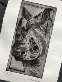 Image 2 of Gravure " Rhinoceros"