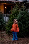 Christmas’s tree farm tazewell Va 