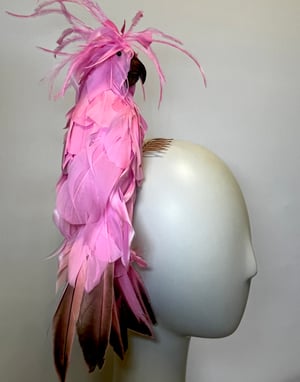 Image of Pink bird