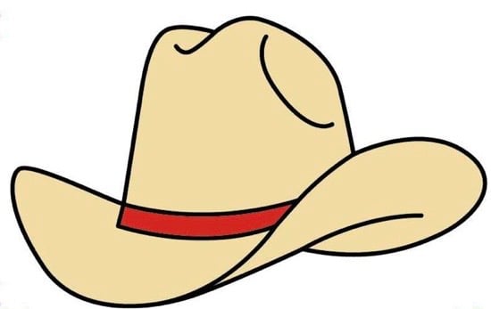 Pin on Sombreros