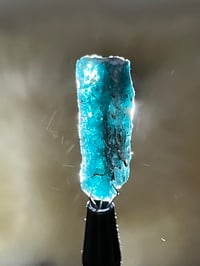 Image 6 of Ocean Kyanite Harts Range Australia #2822