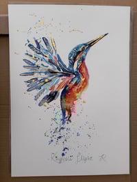 Image 2 of King Fisher Flight