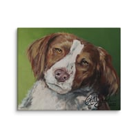 Image 1 of Brittney Spaniel
