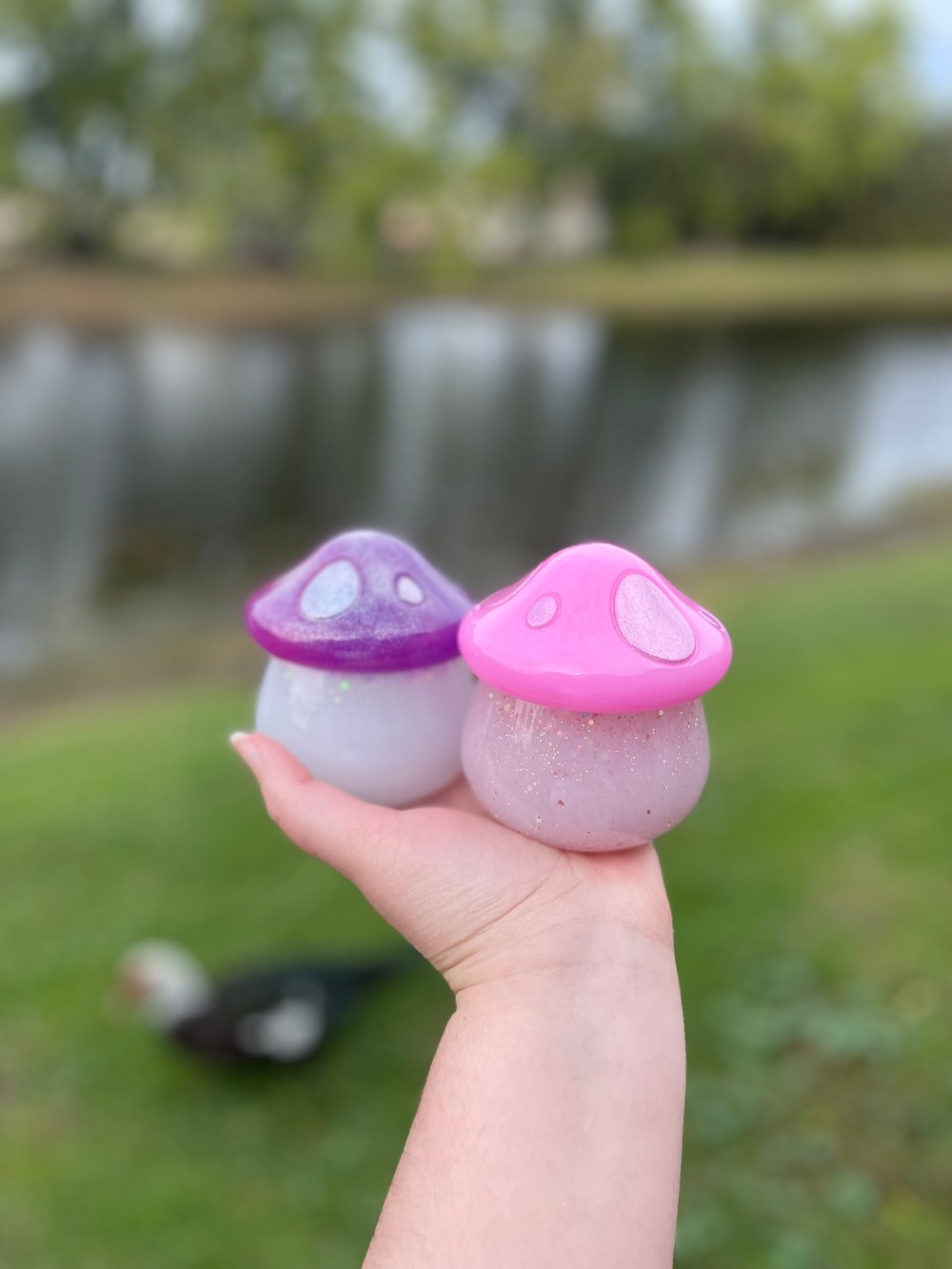 Image of Custom Mushy Jar