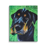 Image 4 of Rottweiler Shar-pei