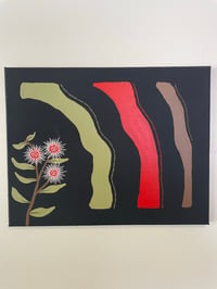 Image 1 of “Hakea”