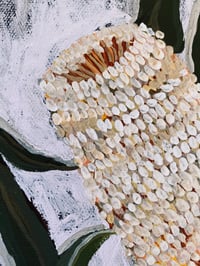 Image 3 of banksia 