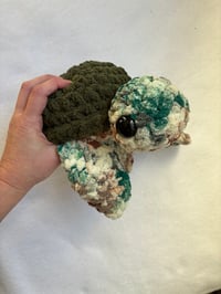 Image 2 of turtles 