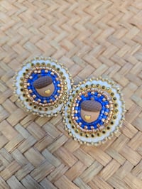 acorns