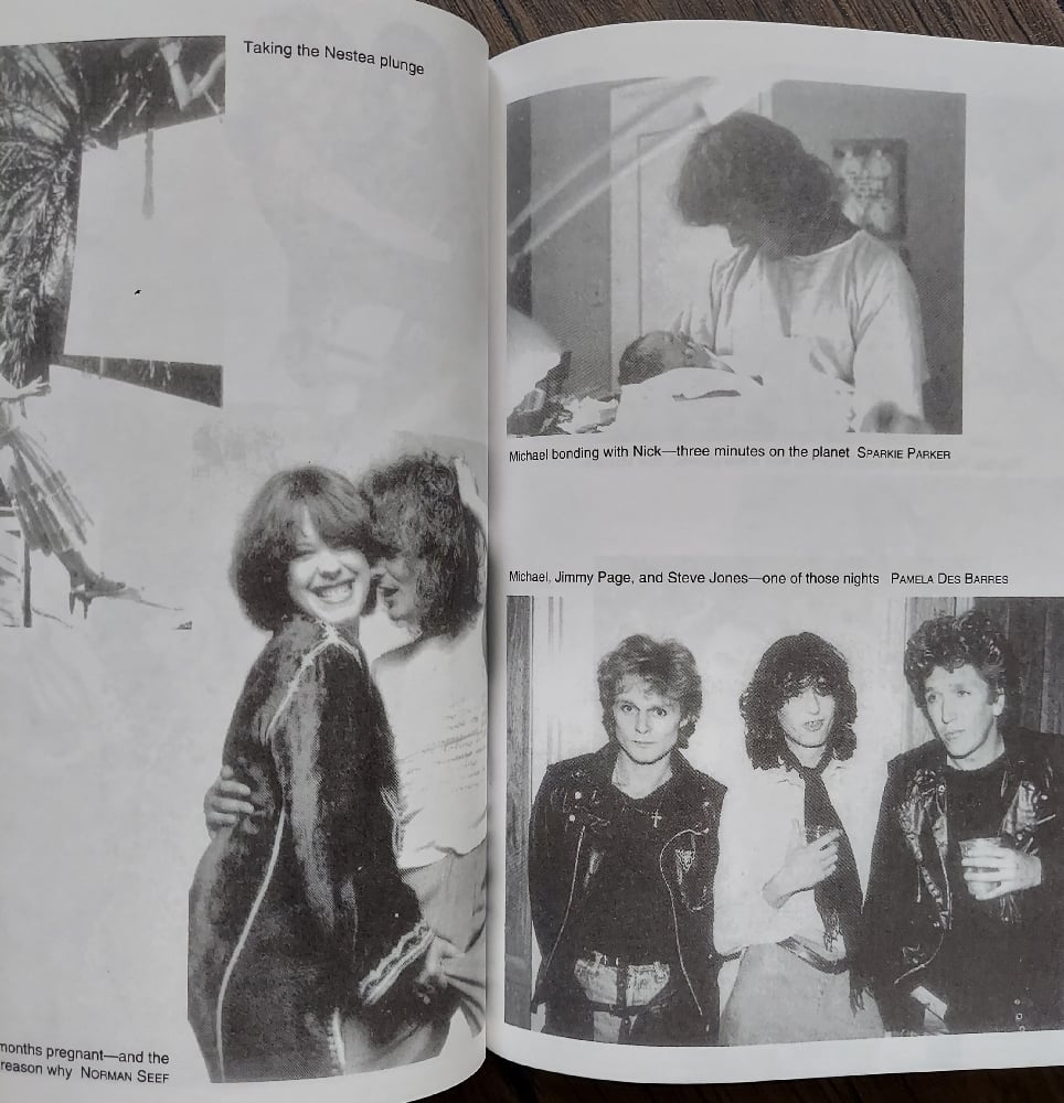 Take Another Little Piece of My Heart, by Pamela Des Barres
