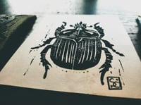 Image 2 of Coleoptera beetle
