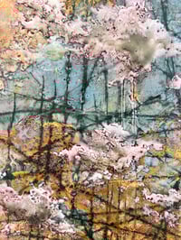 Image 2 of A Walk through the sticks- April S. Olson