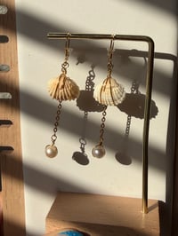Image 4 of Shell & Pearl Dangles
