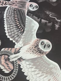 Image 4 of The barn owls night