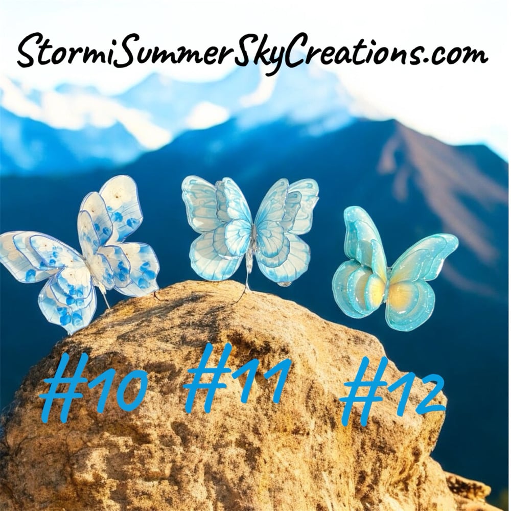 Image of Multiple Butterflies