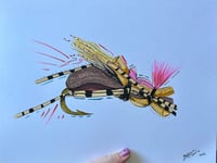 Image 1 of Pool Toy Hopper 