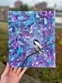 Image 1 of Black capped chickadee 