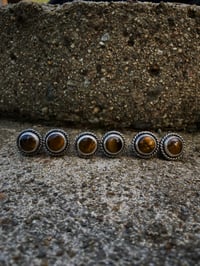 Image 2 of Tiger's Eye License Plate Bolts - Large