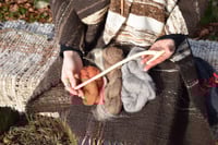 Image 4 of Hedgerow Spindle tutorial video 