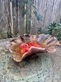 Image 1 of 🦪🌸Oyster Shell flower Bowl🌺🦪