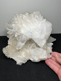 Image 18 of Clear Quartz Points Cluster Statement Piece | Brazil #2936