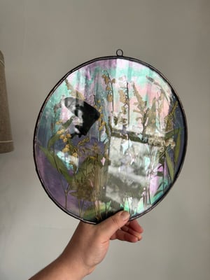 Wildflower field with black butterfly