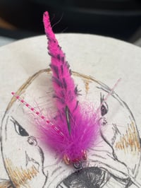 Image 4 of Mottled Polly Wog