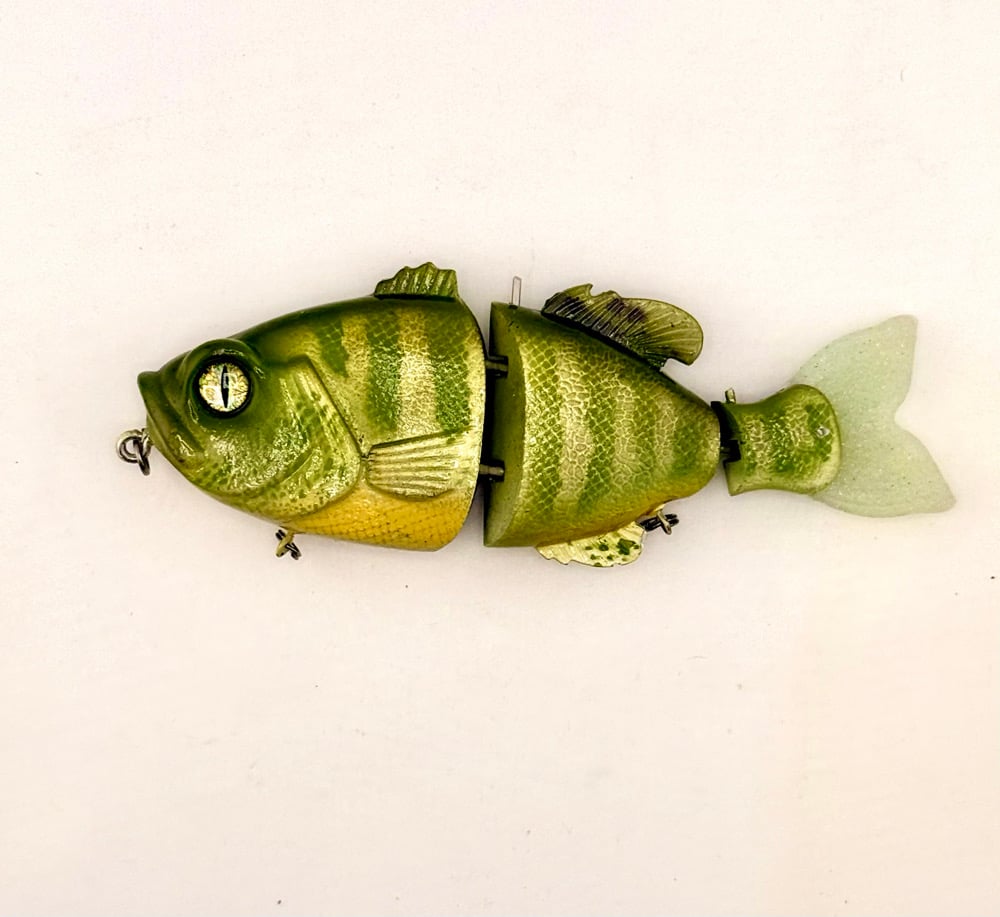 Blue Collar Gill 3 Piece Swimmer
