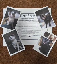 Image 1 of Virtual Adoptions