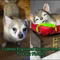 Image 12 of Custom Engraved Chihuahua Pet Urn Handpainted To Your Photos