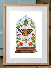 Image 2 of Insect Art Print June Dome, Under Glass Collection
