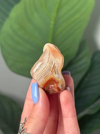 Image 1 of TUMBLED AGATE #19 -MALAWI-