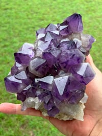 Image 23 of Amethyst Points Cluster | Congo #2868