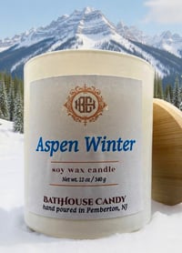 Aspen Winter