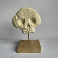 Memento Mori Skull